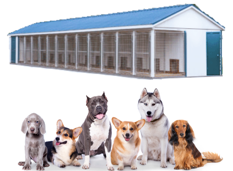 Kennel and dogs